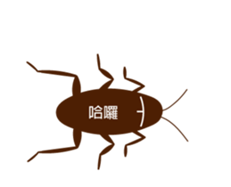 13455048