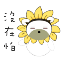 13482563