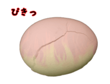 13484339