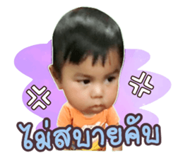 134984645