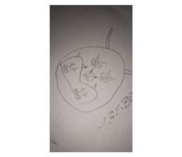 135005506
