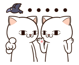 13507800