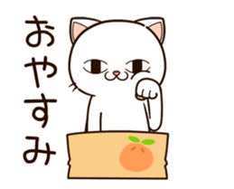 13507810
