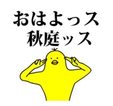 135080096