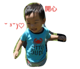 135080427