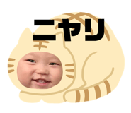 135140712