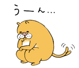 13514681