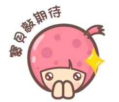 135203023