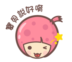 135203026