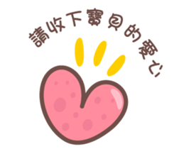 135203027