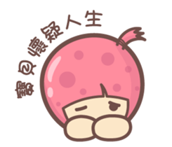 135203035