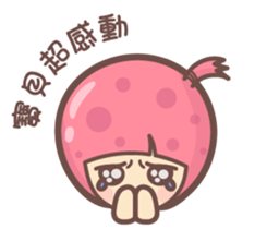 135203041