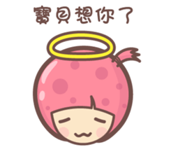 135203044
