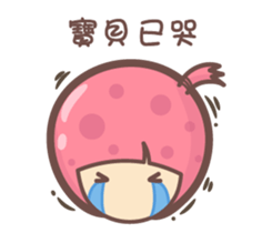 135203045