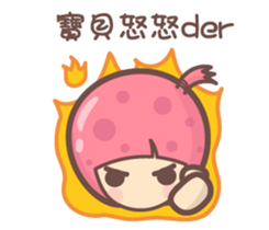 135203053