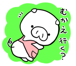 13525116