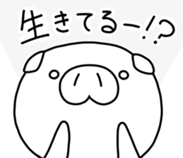 13525136
