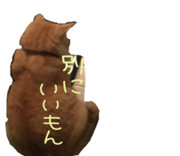 13532316