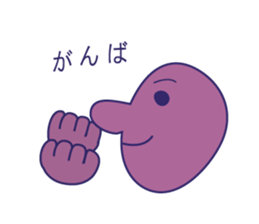 13537045