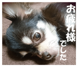 13541321