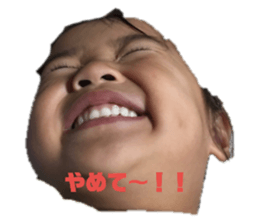 135442583