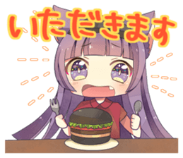 13546716