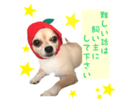 135526871