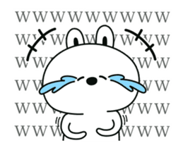 13555154