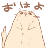 13558478