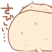 13558484