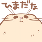 13558485