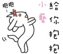 135635394