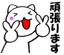 13564580