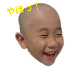 135646697