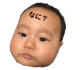 135646698