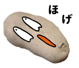 13567131