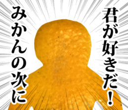 13568702