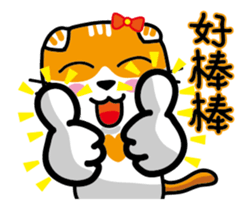 13573094