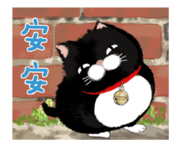 13581307