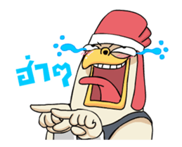 13591653