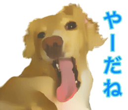 13592774