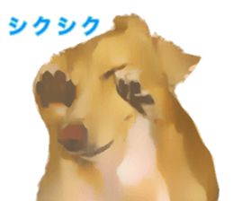 13592775