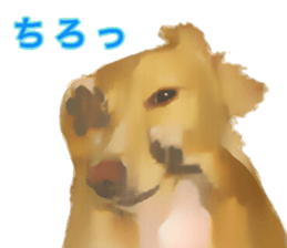 13592776