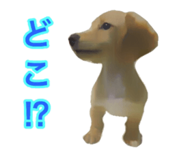 13592781