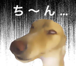 13592788