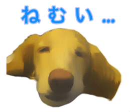 13592789