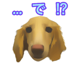 13592792