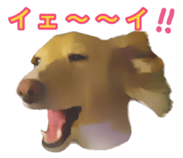 13592796