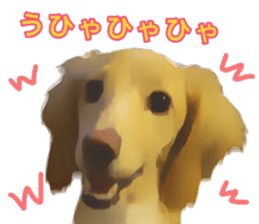 13592797