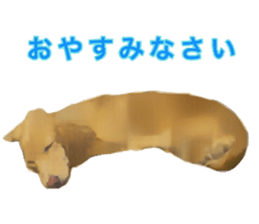 13592801
